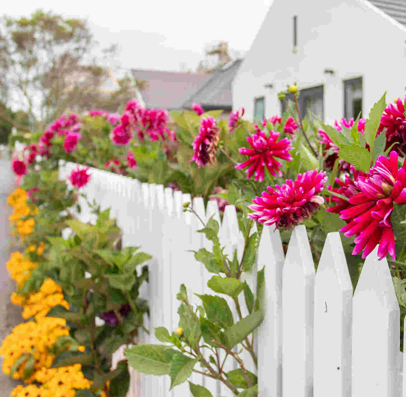 the russley - beautiful garden